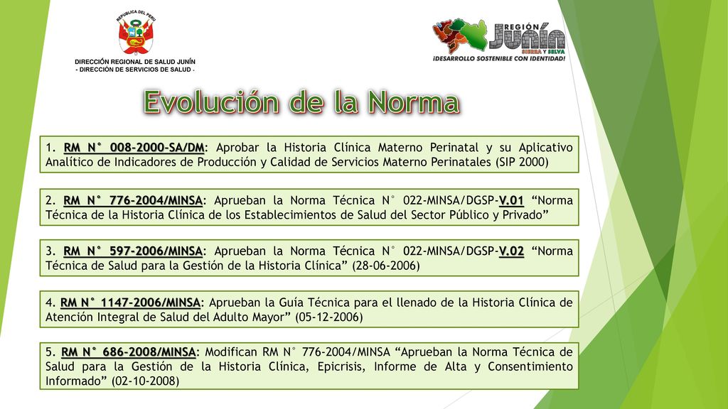 DIRECCIÓN REGIONAL DE SALUD JUNÍN - DIRECCIÓN DE SERVICIOS DE SALUD -