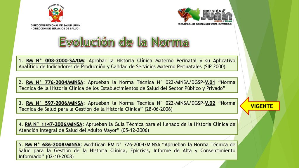 DIRECCIÓN REGIONAL DE SALUD JUNÍN - DIRECCIÓN DE SERVICIOS DE SALUD -