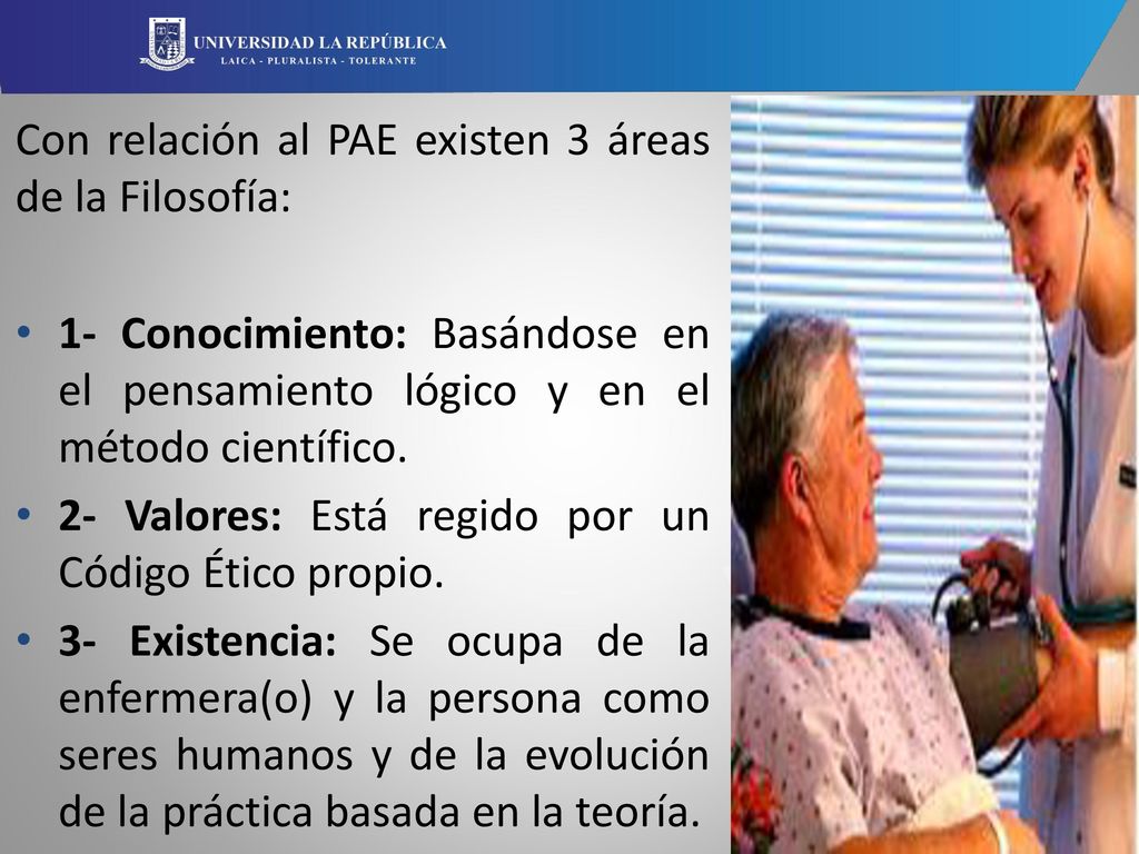 Con relación al PAE existen 3 áreas de la Filosofía: