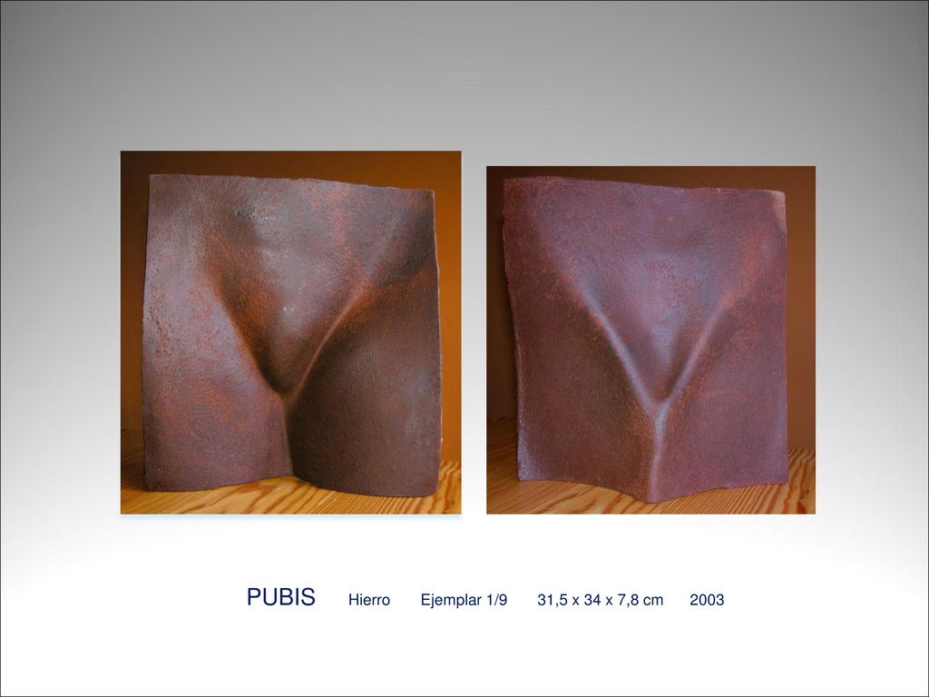 PUBIS Hierro Ejemplar 1/9 31,5 x 34 x 7,8 cm 2003