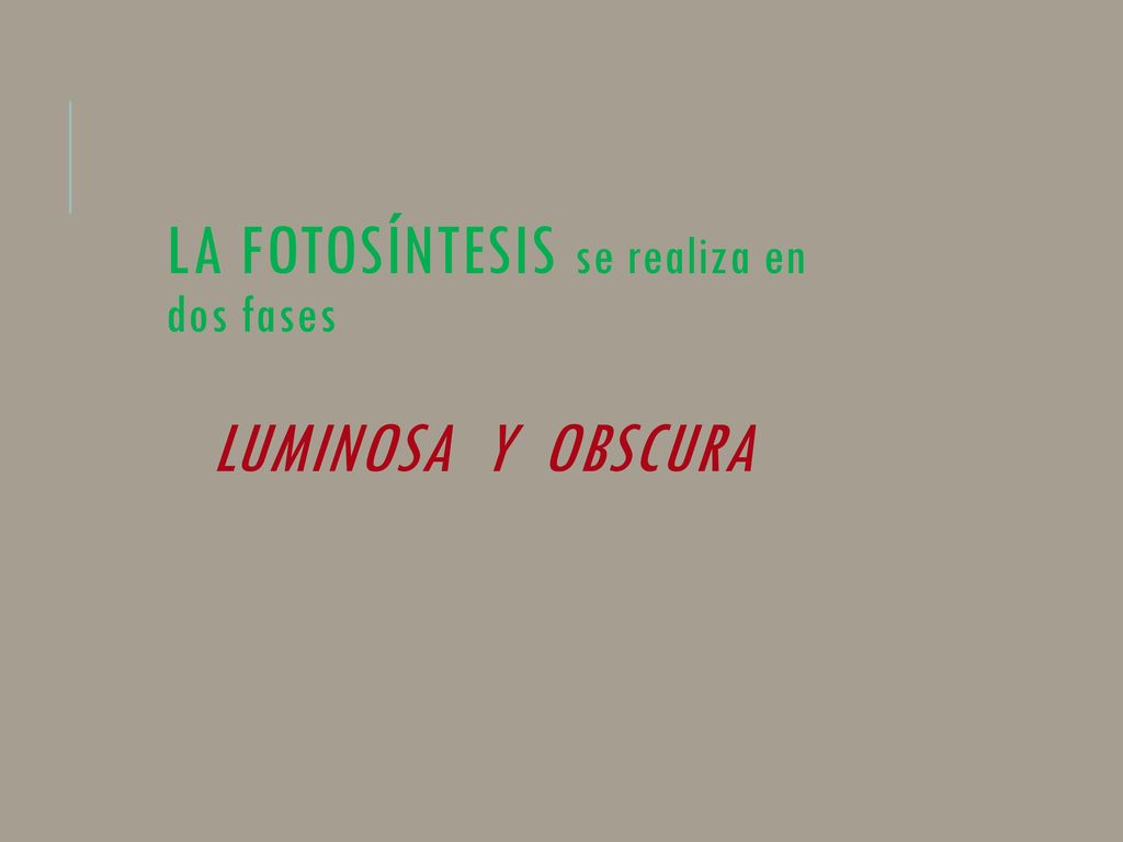 La fotosíntesis se realiza en dos fases Luminosa y Obscura