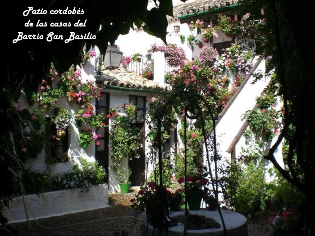 Patio cordobés de las casas del Barrio San Basilio
