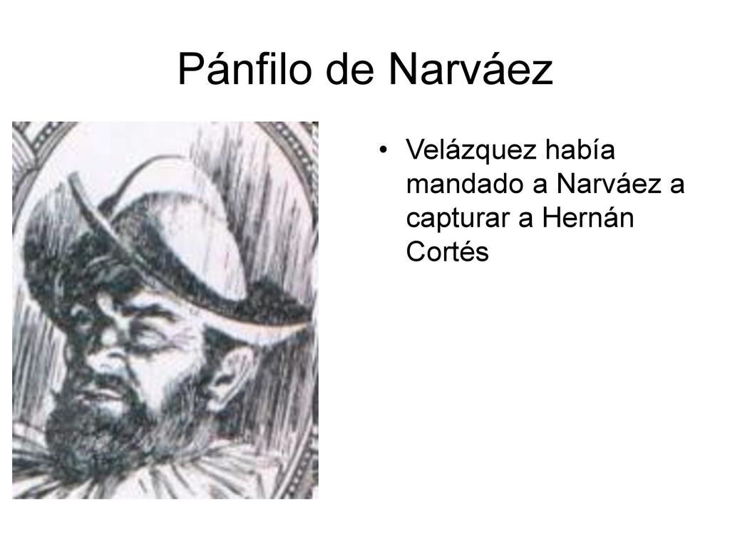 Pánfilo de Narváez Velázquez había mandado a Narváez a capturar a Hernán Cortés