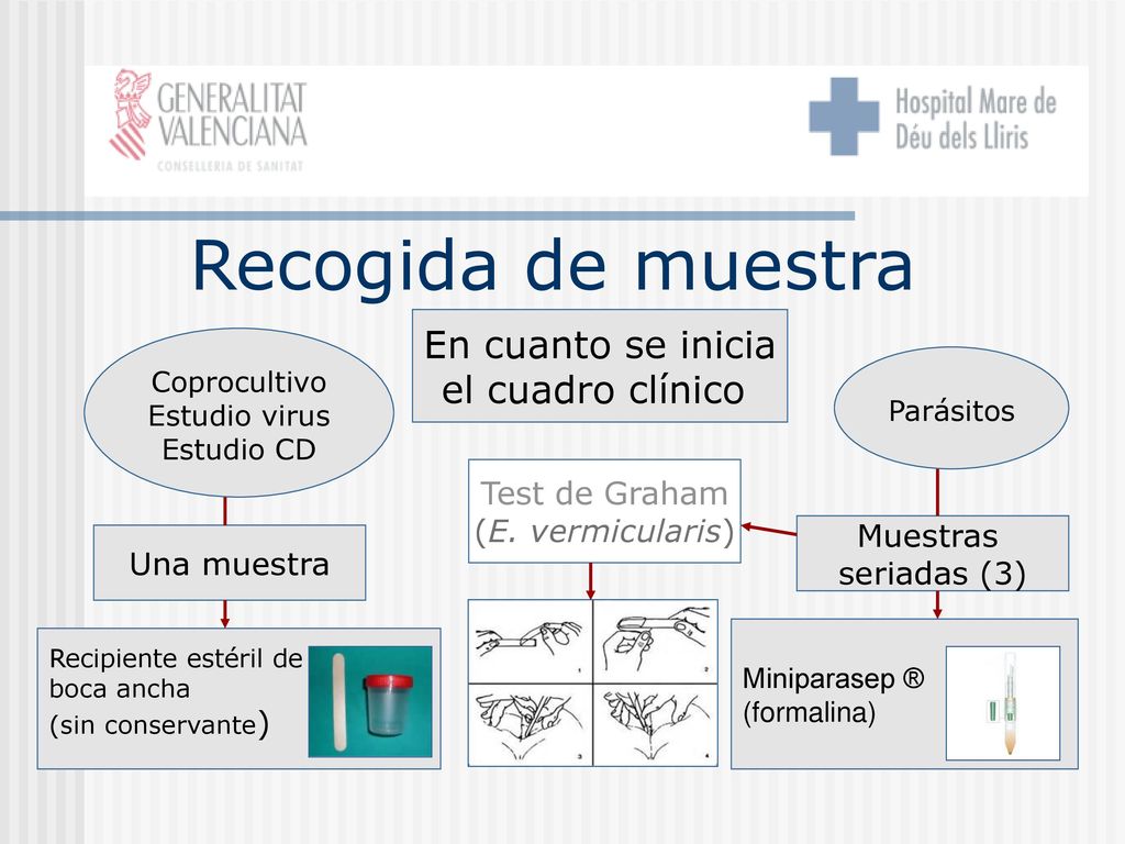 Recogida de muestra En cuanto se inicia el cuadro clínico