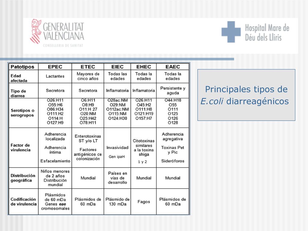 Principales tipos de E.coli diarreagénicos Gen ipaH 1 y 2