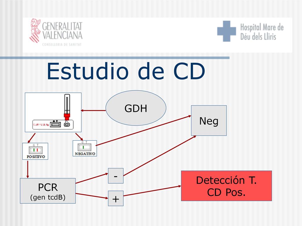 Estudio de CD GDH Neg - Detección T. CD Pos. PCR (gen tcdB) +