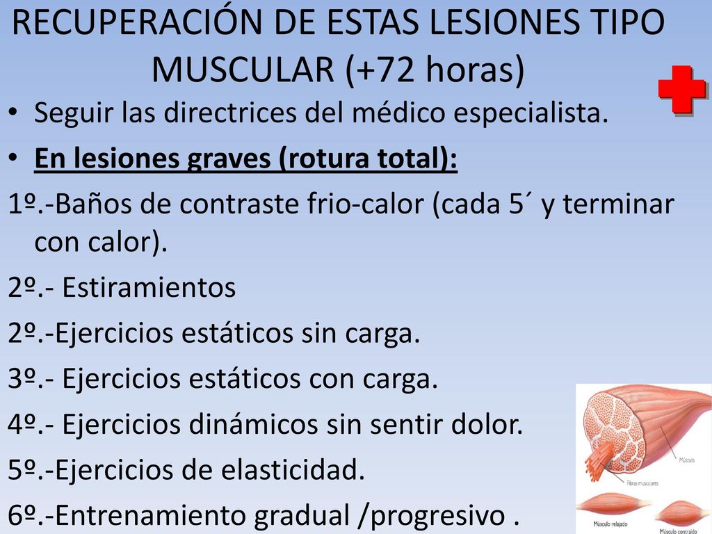 RECUPERACIÓN DE ESTAS LESIONES TIPO MUSCULAR (+72 horas)