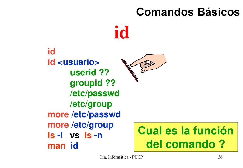 id Comandos Básicos Cual es la función del comando id