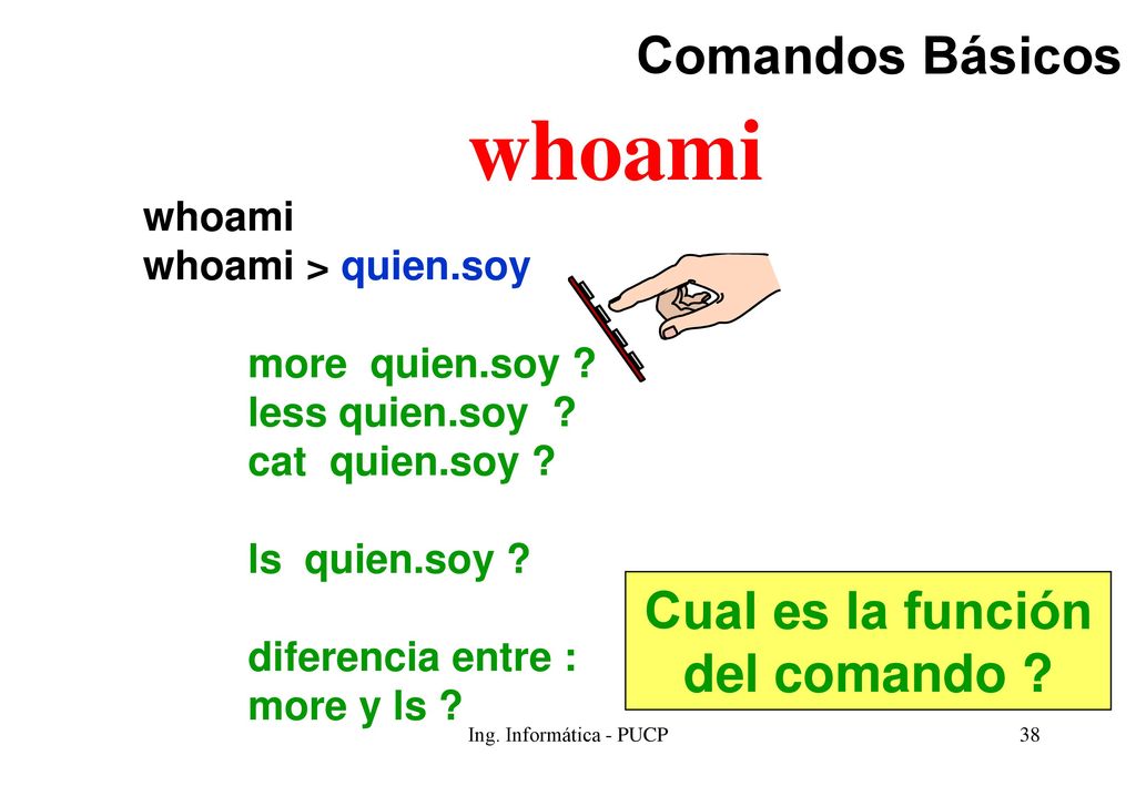 whoami Comandos Básicos Cual es la función del comando whoami