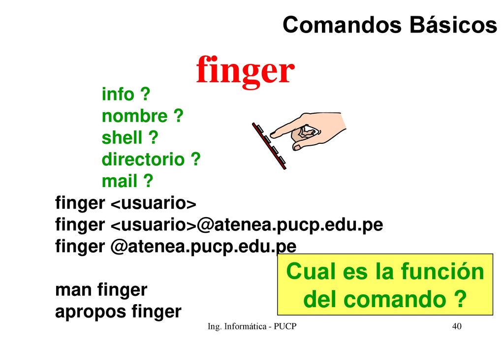 finger Comandos Básicos Cual es la función del comando info