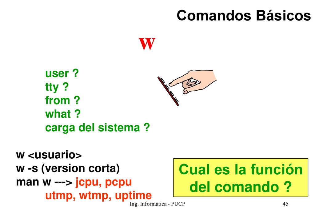 w Comandos Básicos Cual es la función del comando user tty