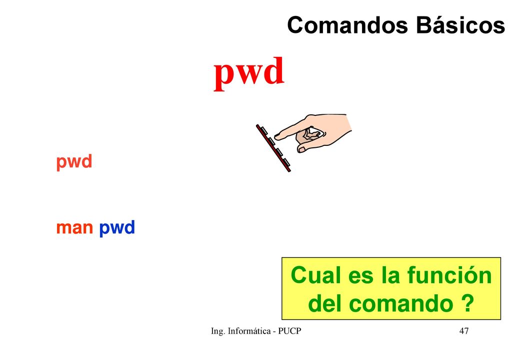 pwd Comandos Básicos Cual es la función del comando pwd man pwd