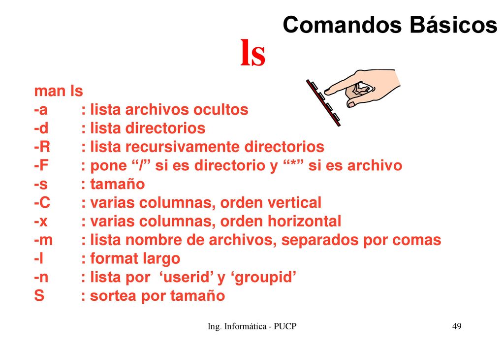 ls Comandos Básicos man ls -a : lista archivos ocultos