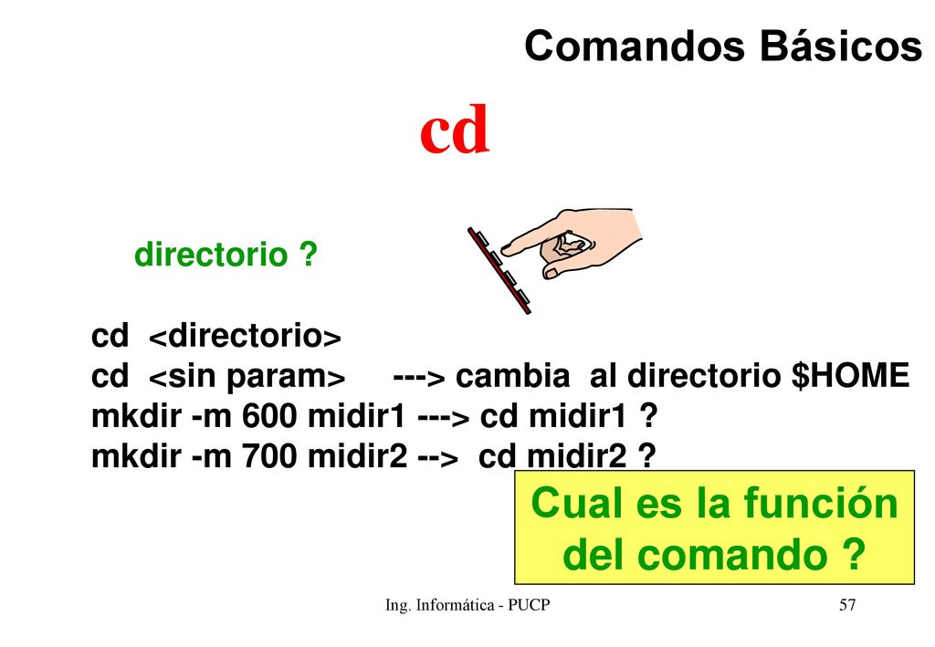 cd Comandos Básicos Cual es la función del comando directorio
