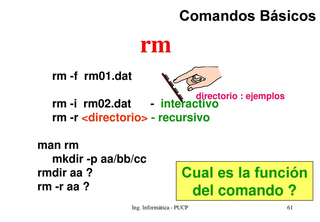 rm Comandos Básicos Cual es la función del comando rm -f rm01.dat