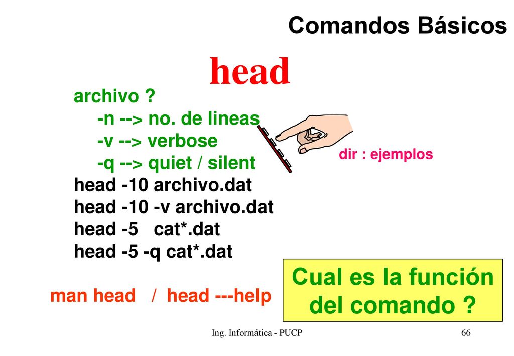 head Comandos Básicos Cual es la función del comando archivo