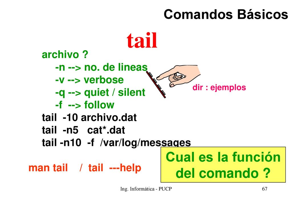 tail Comandos Básicos Cual es la función del comando archivo