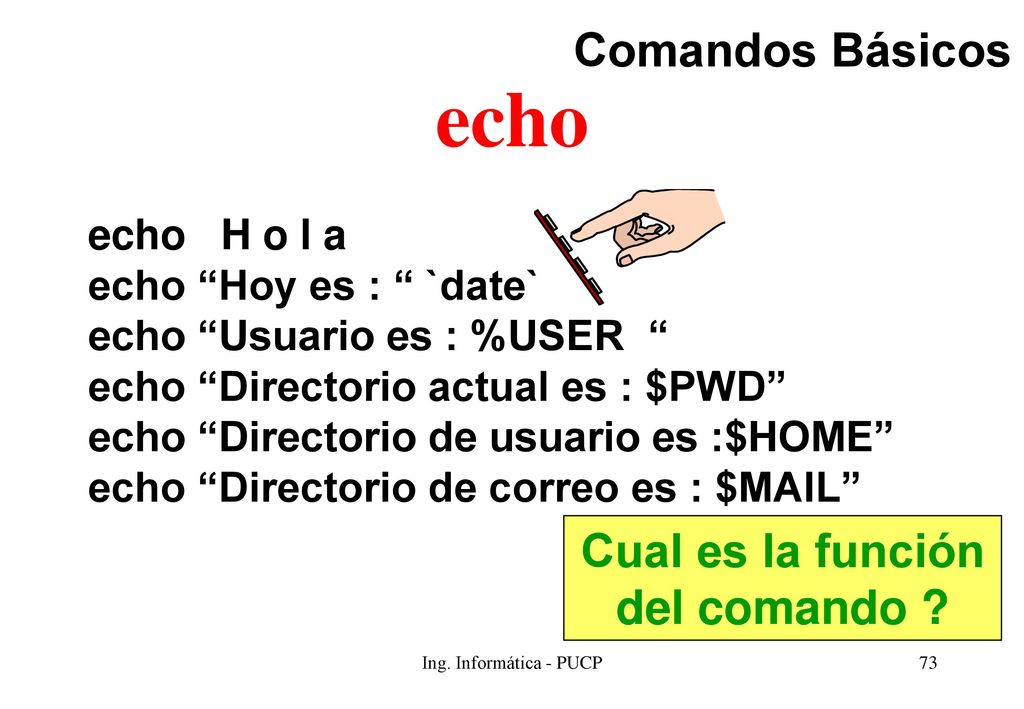 echo Comandos Básicos Cual es la función del comando echo H o l a
