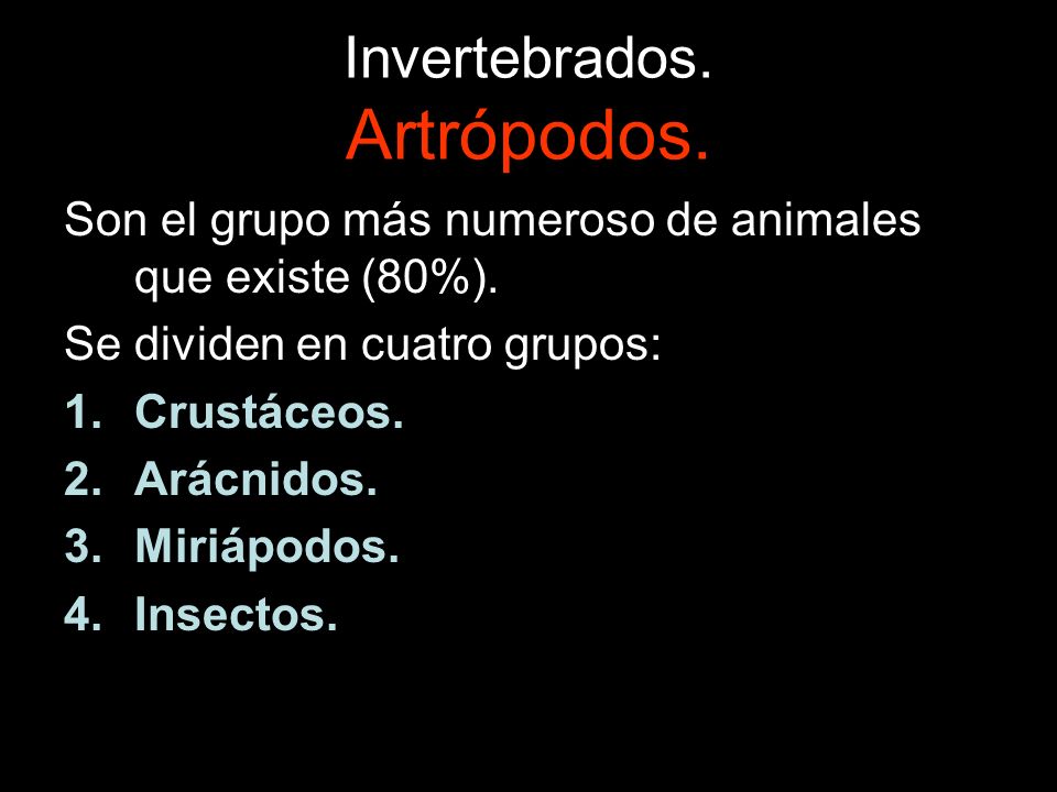 Invertebrados. Artrópodos.
