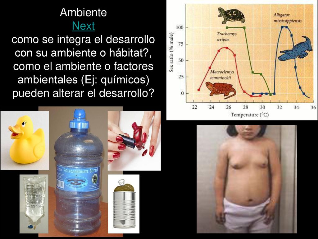 Ambiente Next como se integra el desarrollo con su ambiente o hábitat