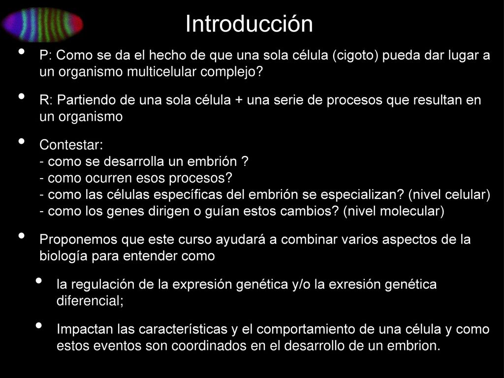 Introducción P: Como se da el hecho de que una sola célula (cigoto) pueda dar lugar a un organismo multicelular complejo