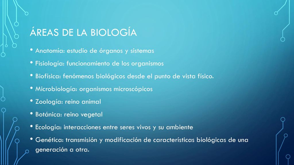 Áreas de la Biología Anatomía: estudio de órganos y sistemas