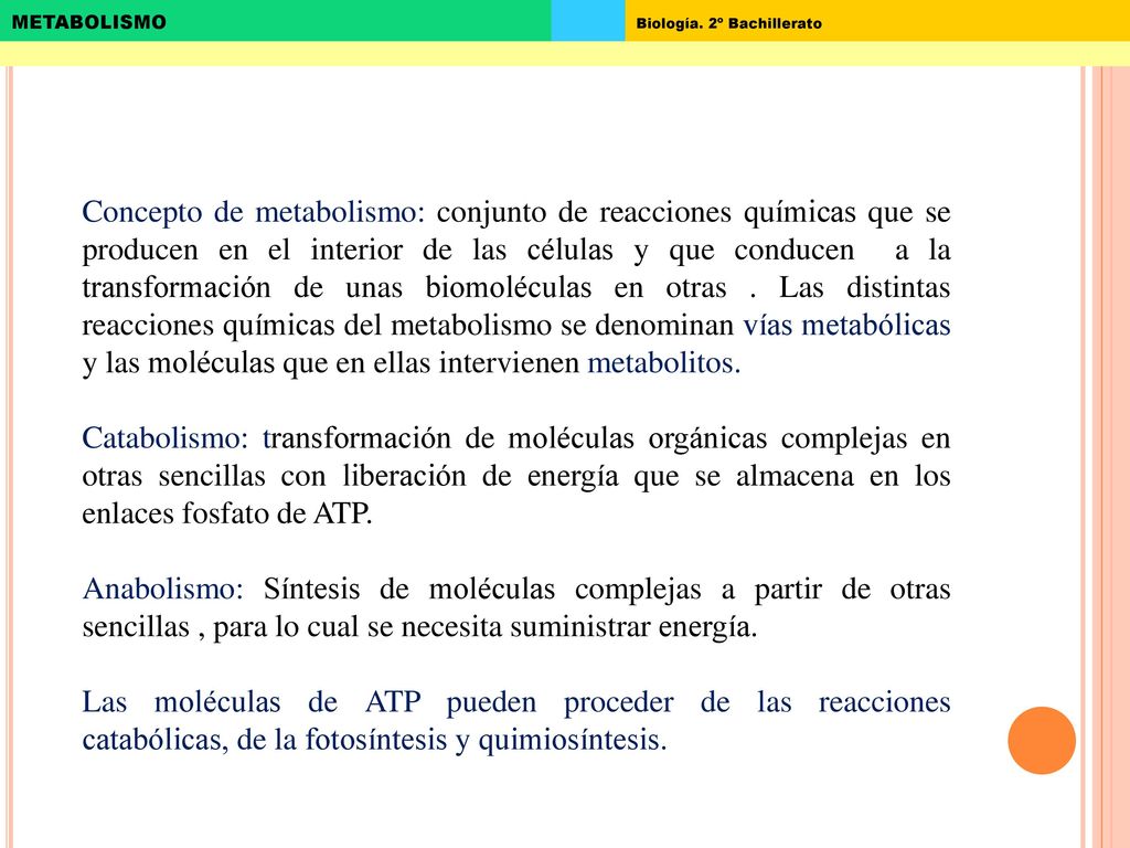 Concepto de metabolismo: conjunto de reacciones químicas que se producen en el interior de las células y que conducen a la transformación de unas biomoléculas en otras . Las distintas reacciones químicas del metabolismo se denominan vías metabólicas y las moléculas que en ellas intervienen metabolitos.
