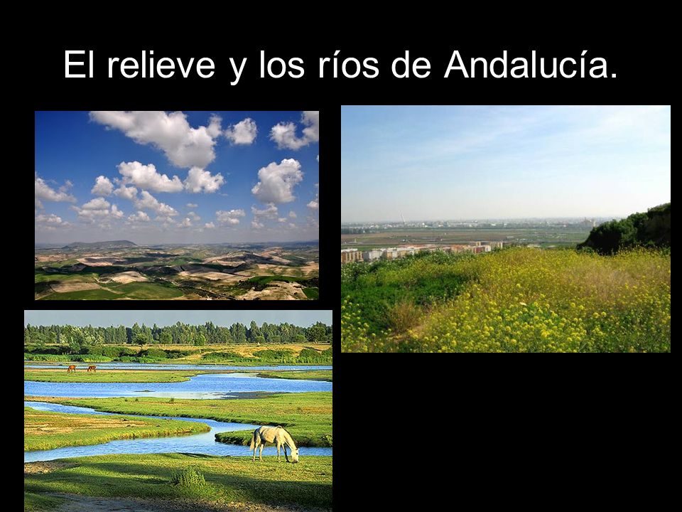 El relieve y los ríos de Andalucía.