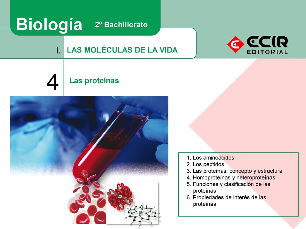 4 Biología I. 2º Bachillerato LAS MOLÉCULAS DE LA VIDA Las proteínas