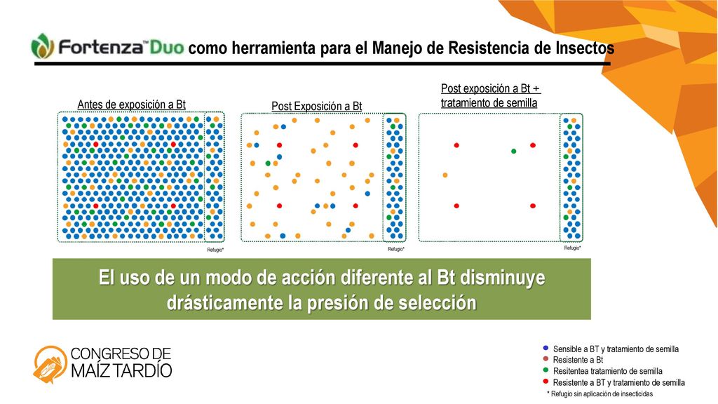 IMPACTO DEL USO DE TRATAMIENTO DE SEMILLAS PARA EL MRI