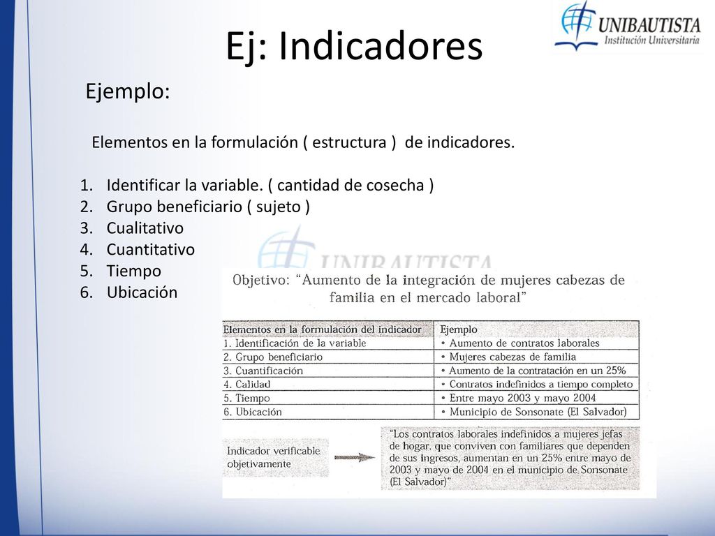 Elementos en la formulación ( estructura ) de indicadores.