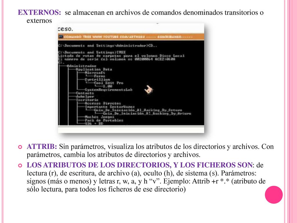 EXTERNOS: se almacenan en archivos de comandos denominados transitorios o externos