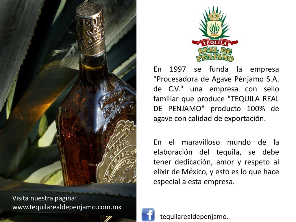 En 1997 se funda la empresa Procesadora de Agave Pénjamo S.A. de C.V. una empresa con sello familiar que produce TEQUILA REAL DE PENJAMO producto 100% de agave con calidad de exportación.