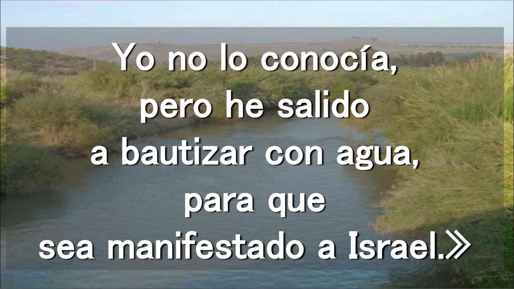 Yo no lo conocía, pero he salido a bautizar con agua, para que sea manifestado a Israel.»