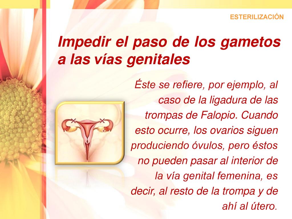 Impedir el paso de los gametos a las vías genitales
