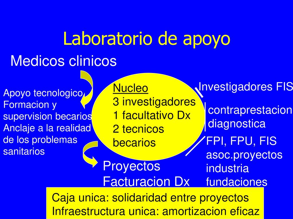 Laboratorio de apoyo Medicos clinicos Proyectos Facturacion Dx
