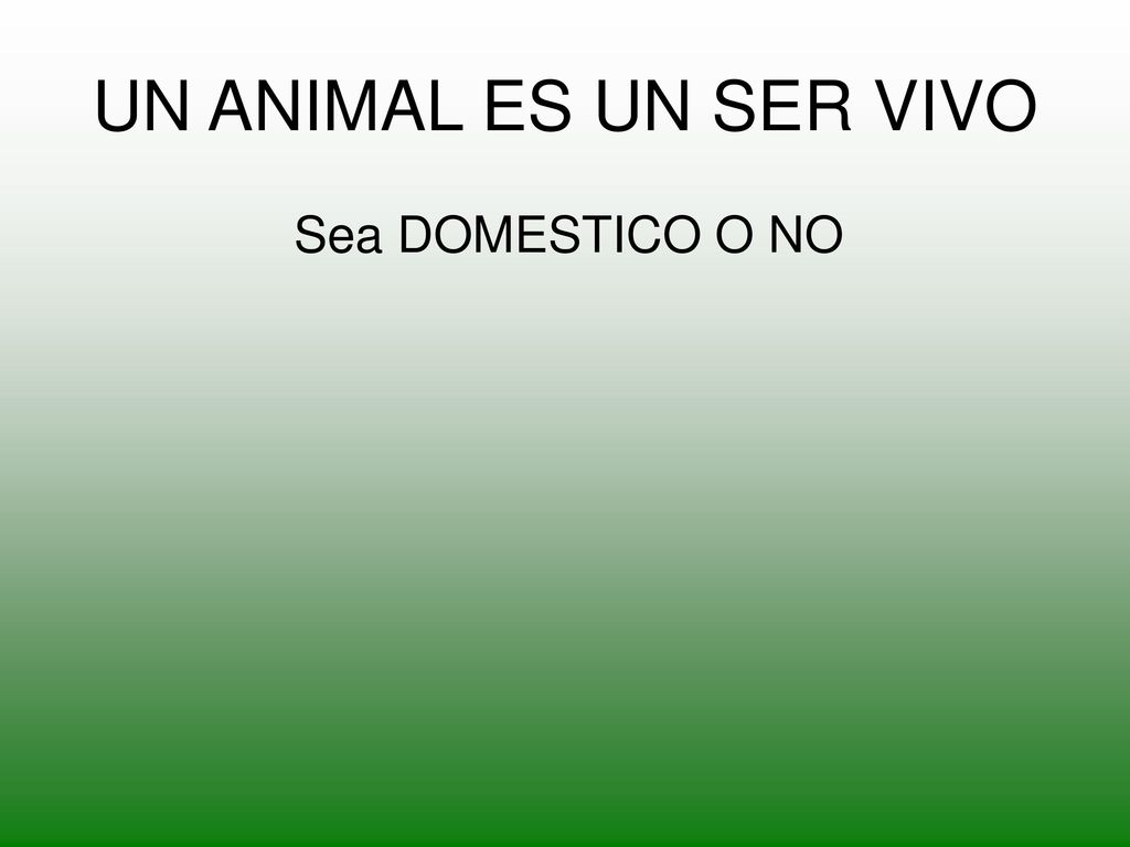 UN ANIMAL ES UN SER VIVO Sea DOMESTICO O NO