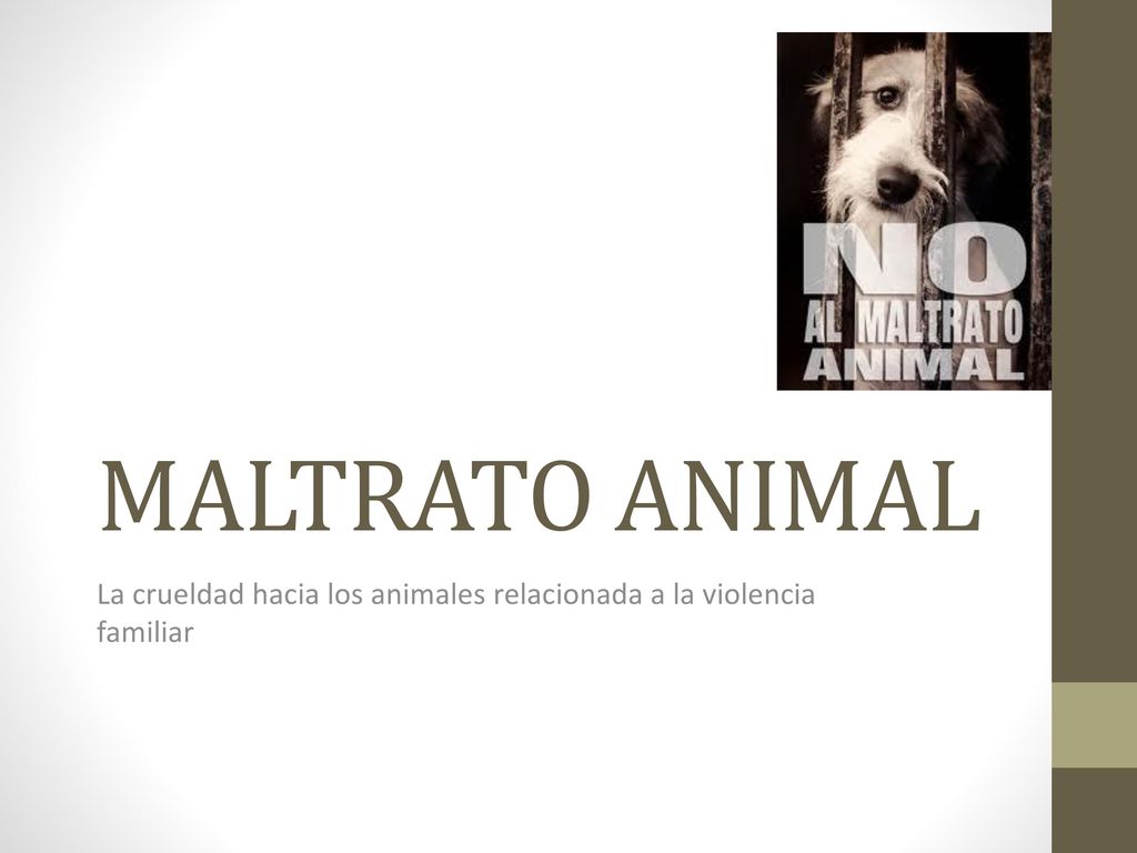 La crueldad hacia los animales relacionada a la violencia familiar