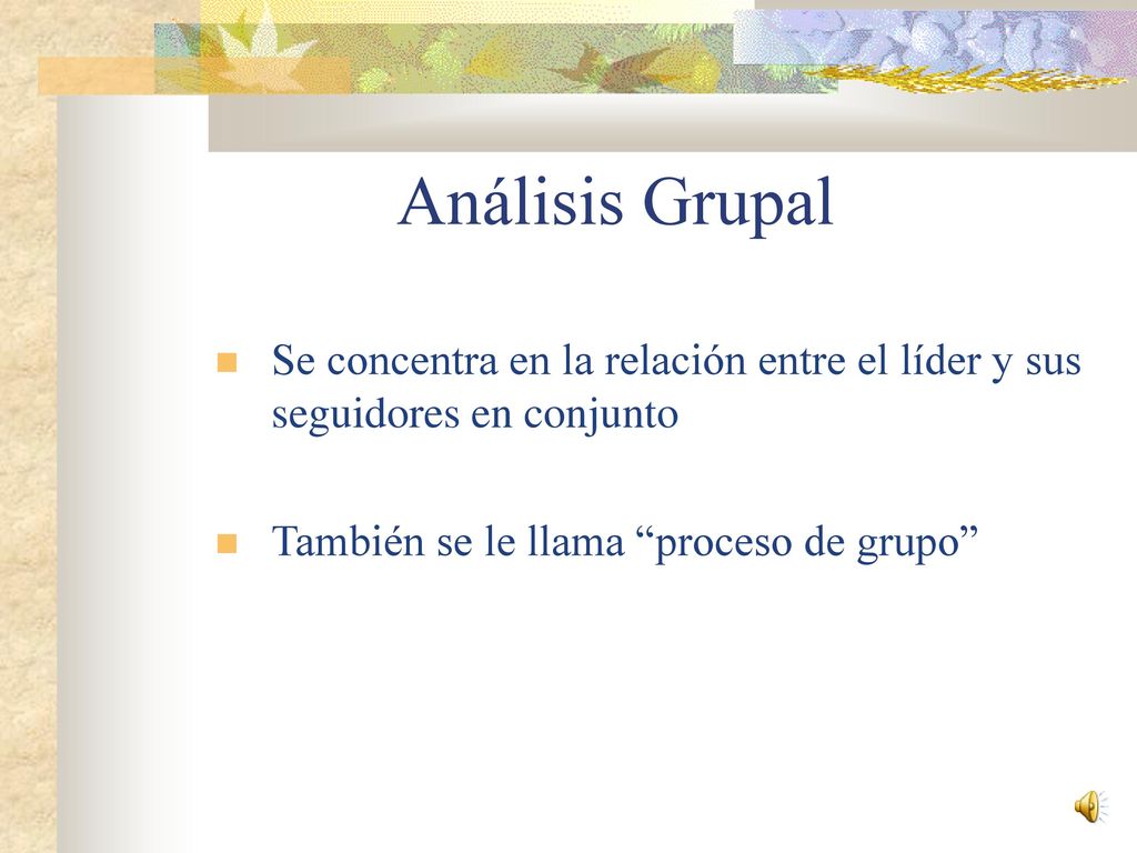 Análisis Grupal Se concentra en la relación entre el líder y sus seguidores en conjunto.