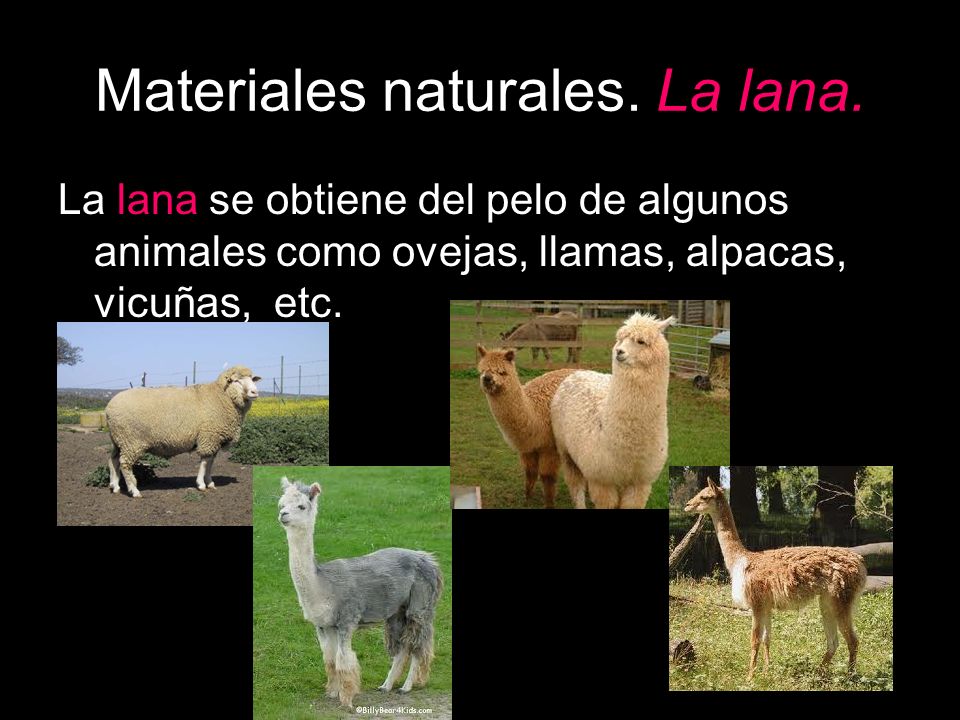 Materiales naturales. La lana.