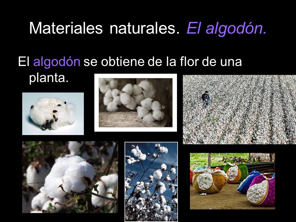 Materiales naturales. El algodón.