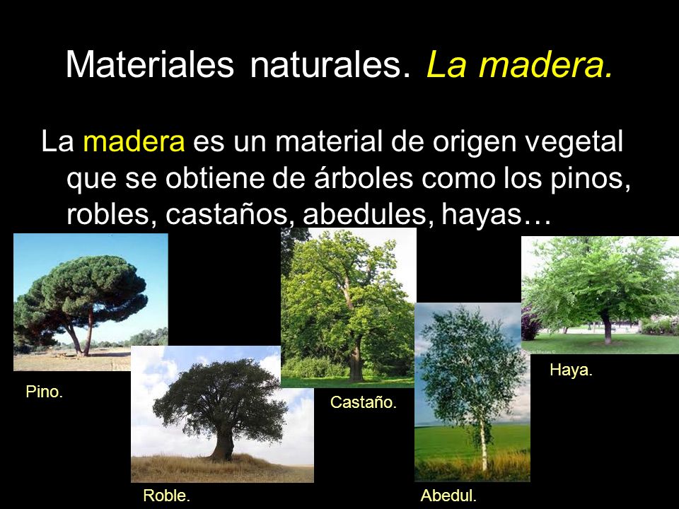 Materiales naturales. La madera.