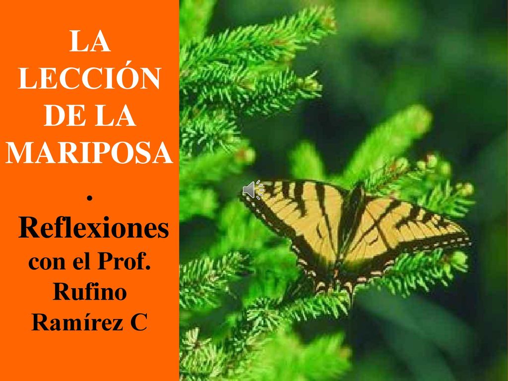 LA LECCIÓN DE LA MARIPOSA. Reflexiones con el Prof. Rufino Ramírez C