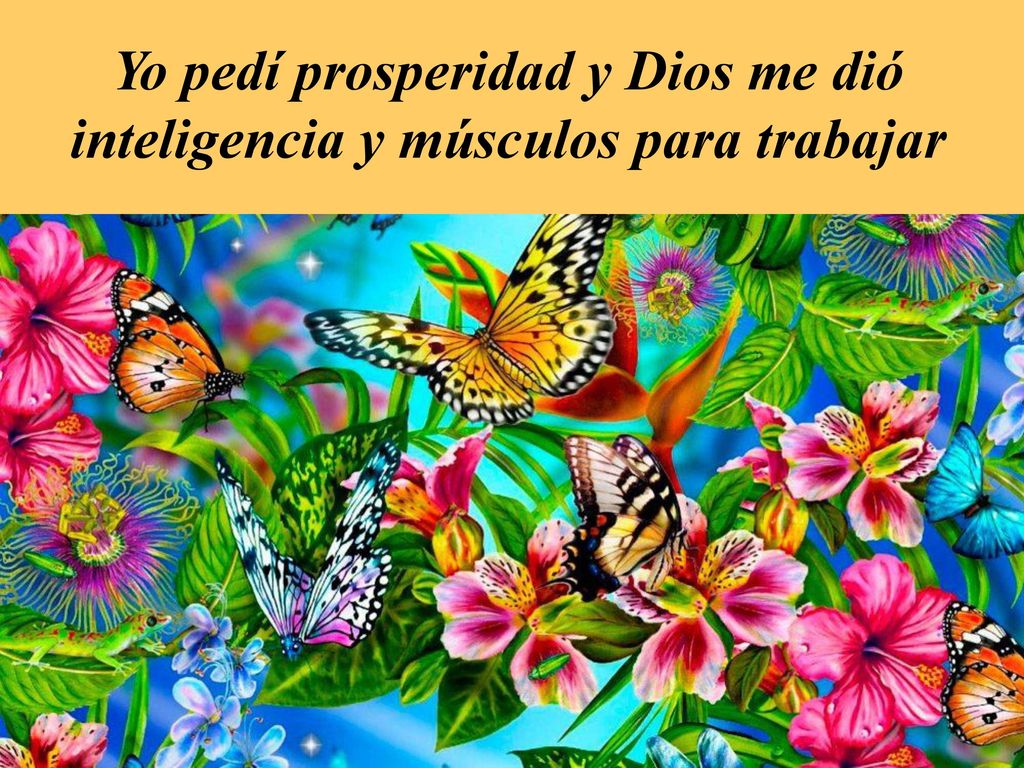 Yo pedí prosperidad y Dios me dió inteligencia y músculos para trabajar