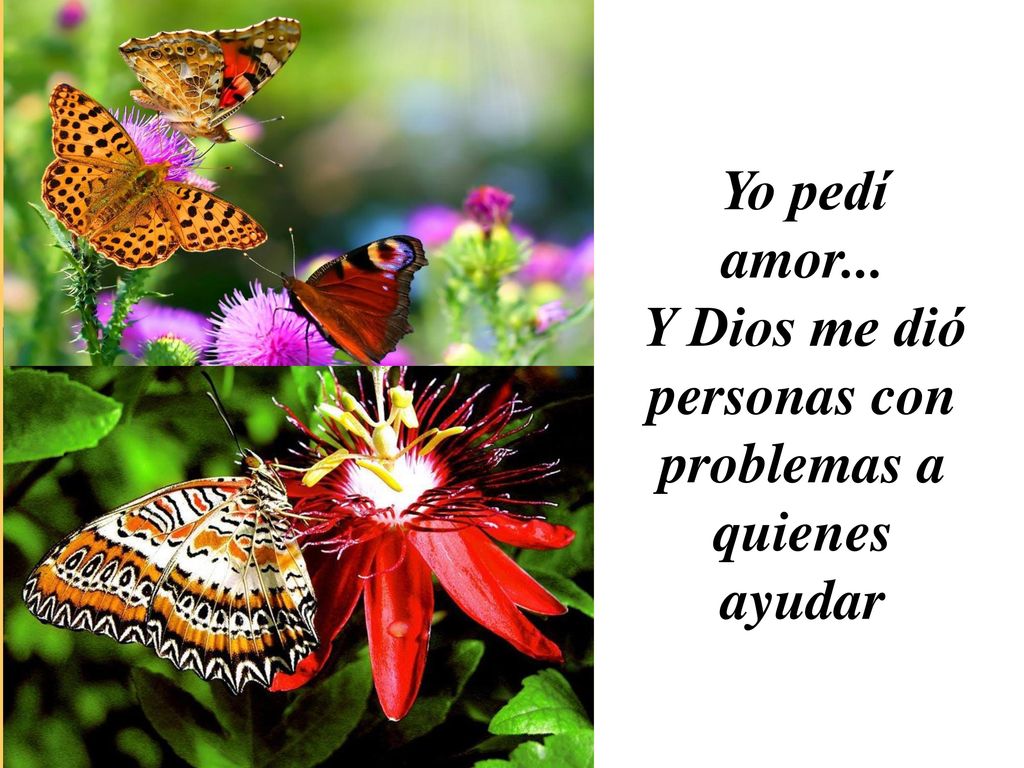 Y Dios me dió personas con problemas a quienes ayudar