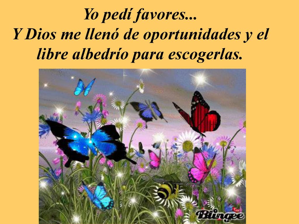 Y Dios me llenó de oportunidades y el libre albedrío para escogerlas.