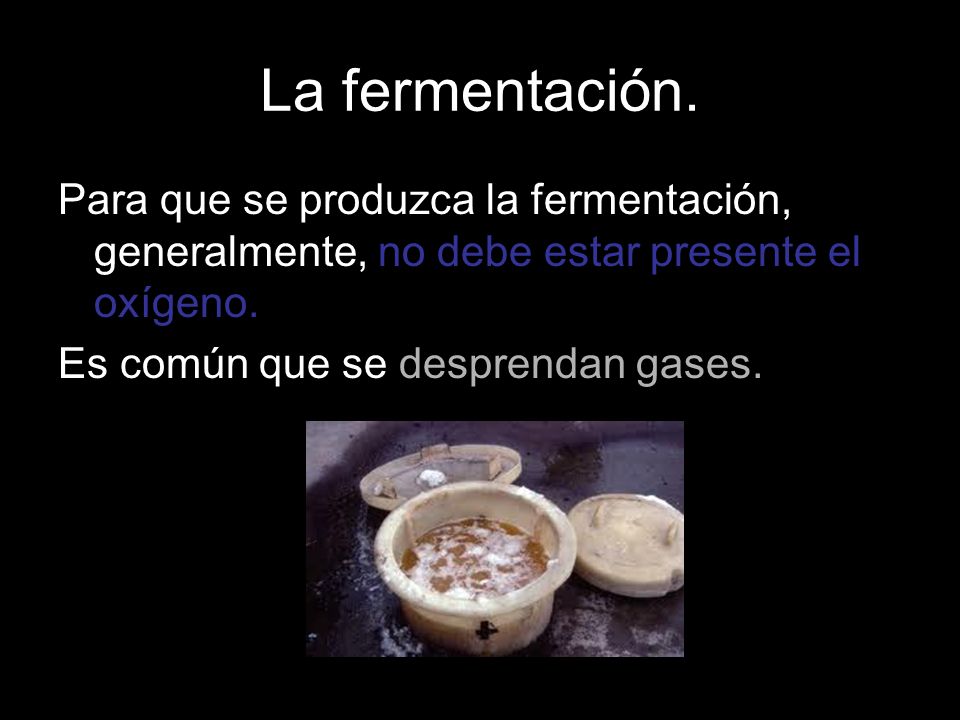 La fermentación. Para que se produzca la fermentación, generalmente, no debe estar presente el oxígeno.