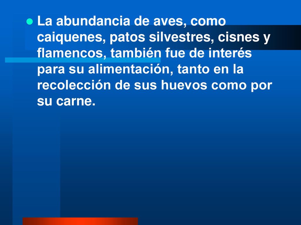 La abundancia de aves, como caiquenes, patos silvestres, cisnes y flamencos, también fue de interés para su alimentación, tanto en la recolección de sus huevos como por su carne.