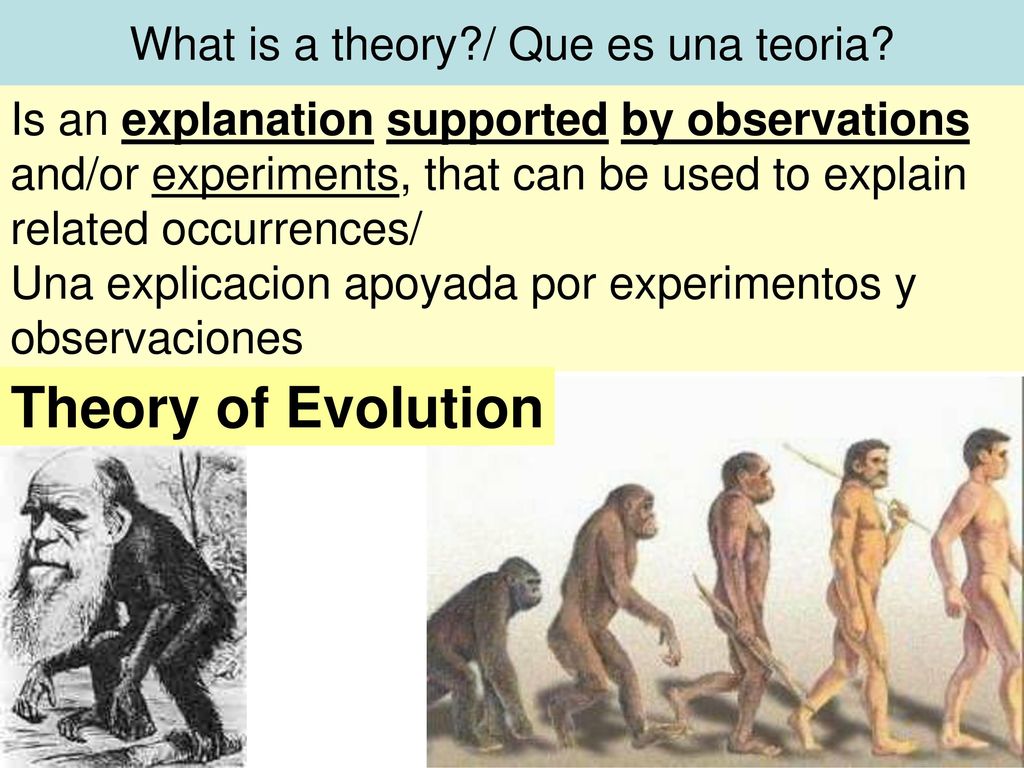 What is a theory / Que es una teoria
