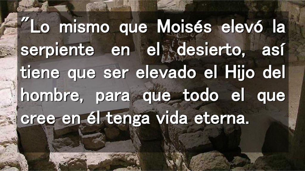Lo mismo que Moisés elevó la serpiente en el desierto, así tiene que ser elevado el Hijo del hombre, para que todo el que cree en él tenga vida eterna.